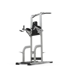 Chinning / Dipping / Leg Raise Station (Rear Chin)
