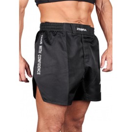 Short de MMA