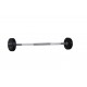 Set aus gerader Hantelstange mit Gewichten (10 bis 30 kg)